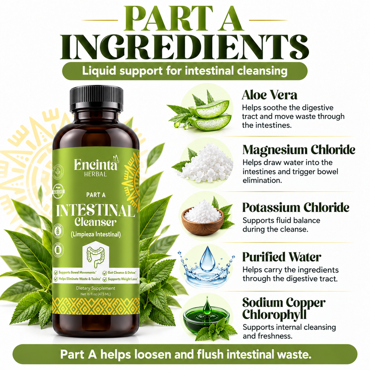 2-Part Intestinal Cleanser Bundle | Part A + Part B